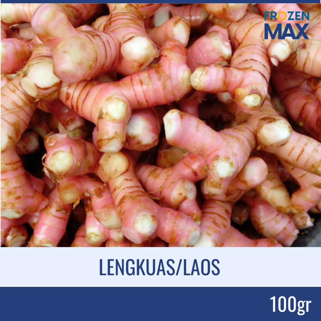 

Lengkuas Segar | Laos | Bumbu Dapur Lengkuas