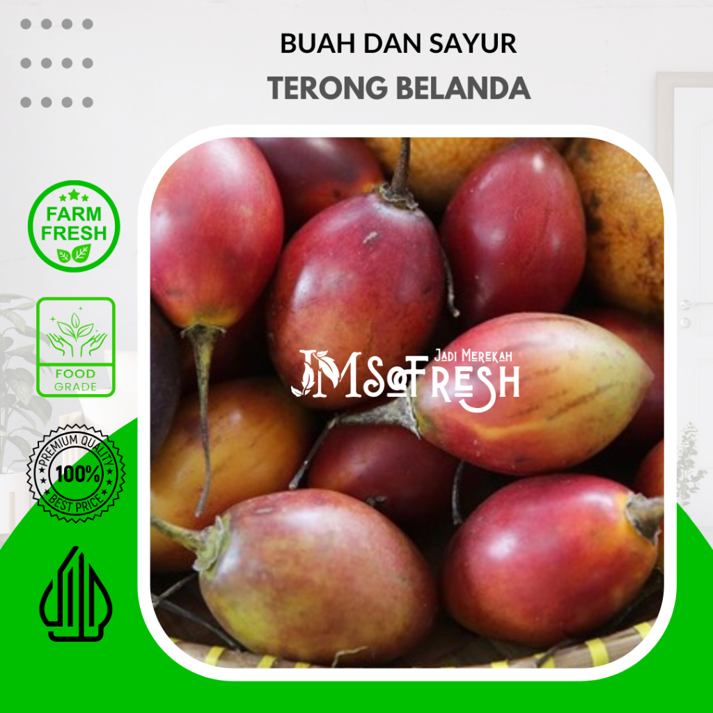 

[JMSoFresh] Buah Terong Belanda