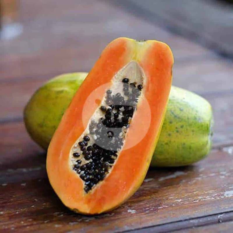 

Jual buah pepaya california super seger 1kg