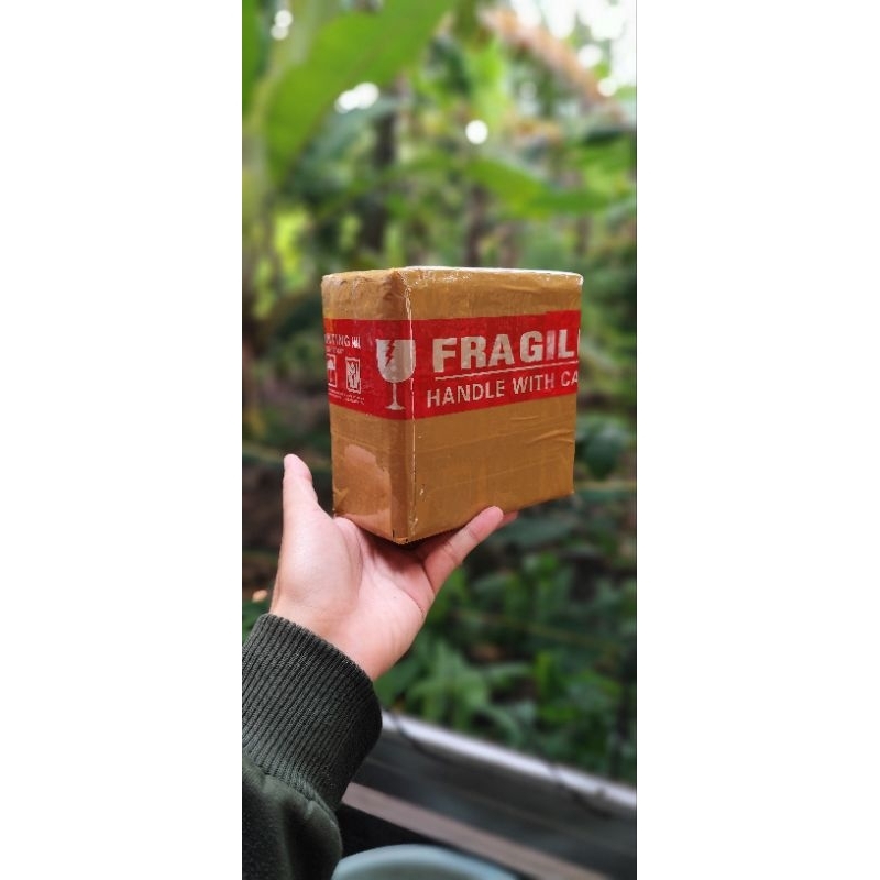 

exclusive kardus paking full gold vietnam induk top grade ll aksesoris akuarium