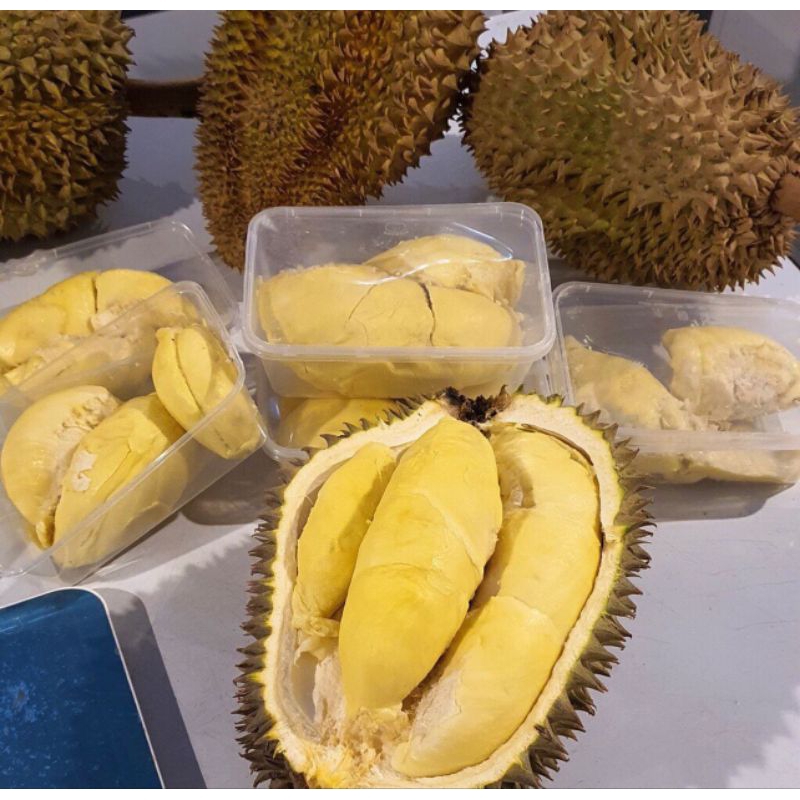 

Durian Monthong Bali Premium Pack Kurleb 500gr