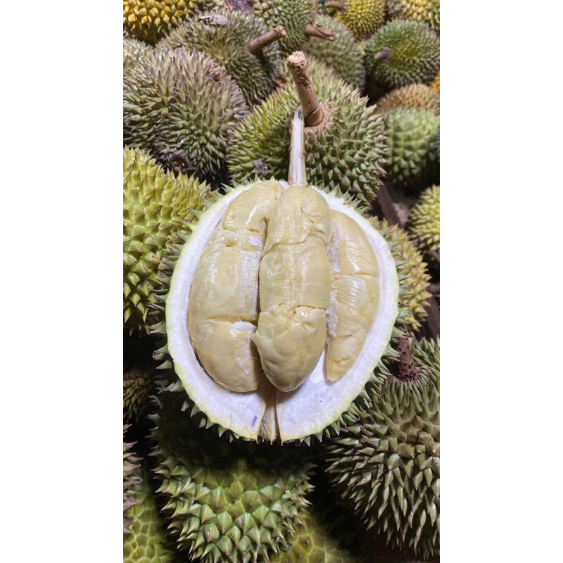

Durian full cream