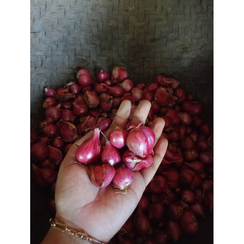 

Bawang Merah Probolinggo sedang 1 kg