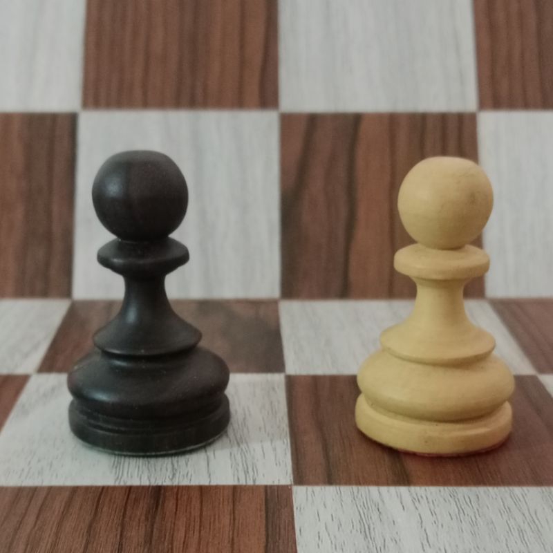 Chess pawn pieces pion catur eceran tipe Patria bahan kayu sawo