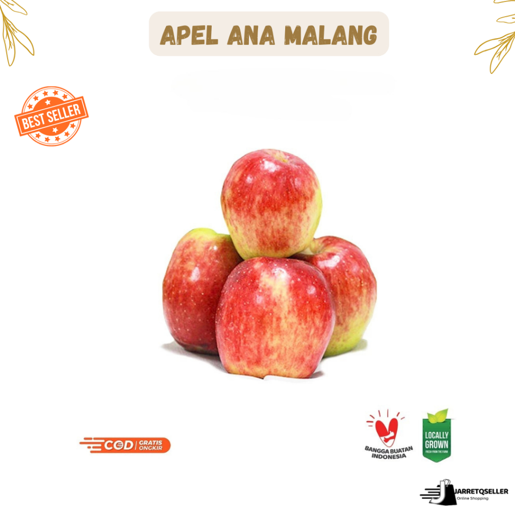 

Apel Ana Malang 1 kg | Apel Manis | Apel Original Ana 1 kg | Oleh-Oleh Khas Batu Malang