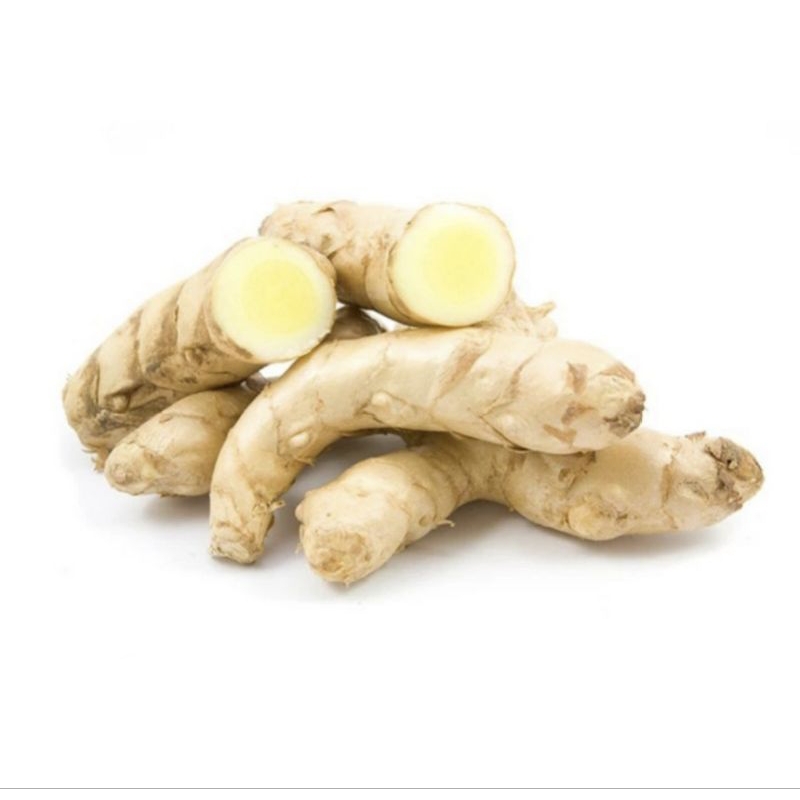 

kunyit putih fresh/kunyit putih segar 1kg