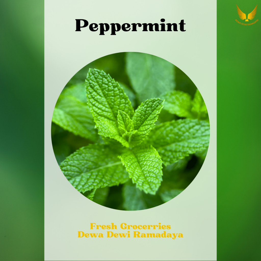 

Pepper Mint Organik Dewa Dewi Rama Daya