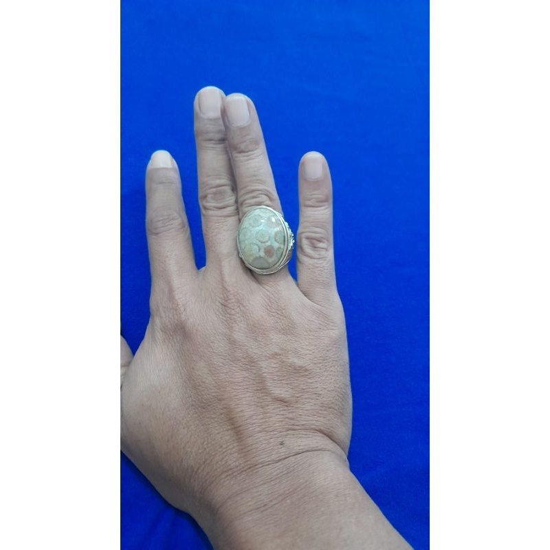 Batu Akik Natural TERATAI PUTIH, Multi Warna, Size Jumbo,  Trmbus Senter
