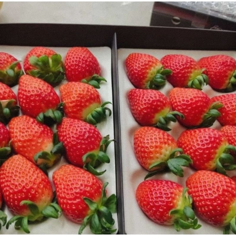 

Strawberry Korea Premium 1 Box Isi 2 Pack