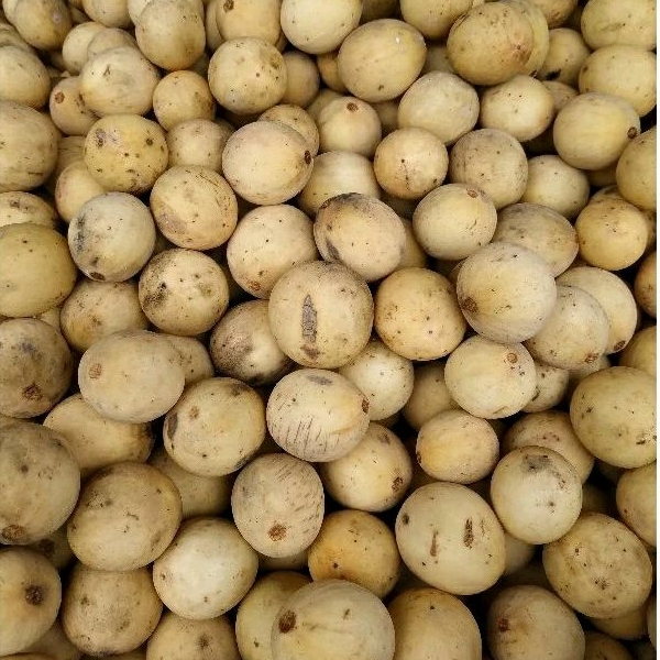 

duku palembang 1kg