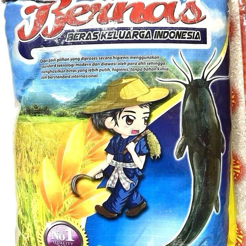 

Beras Bernas 5kg 10kg 25kg – Kualitas Premium untuk Setiap Hidangan Keluarga