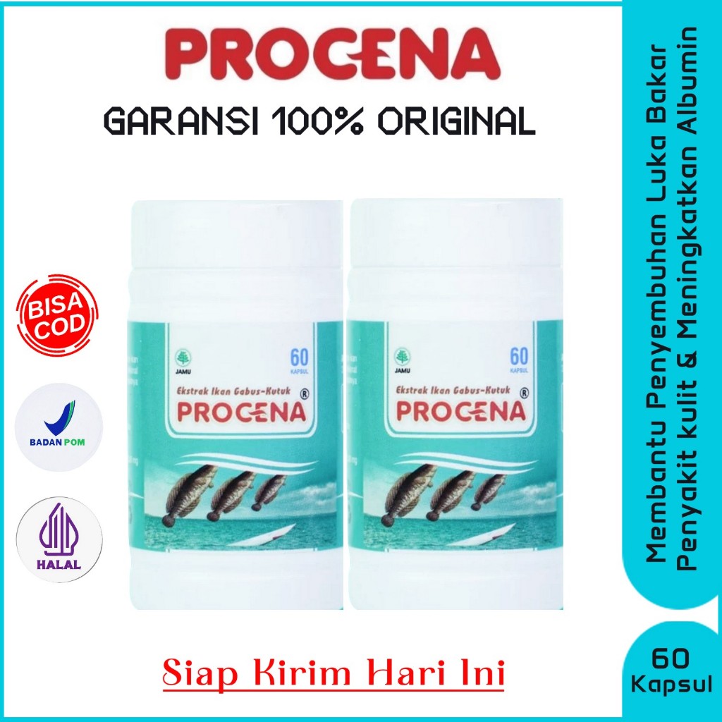 2 Botol Procena Kapsul Original Ikan Gabus Obat Kulit Luka Operasi Diabetes Bakar Koreng Borok