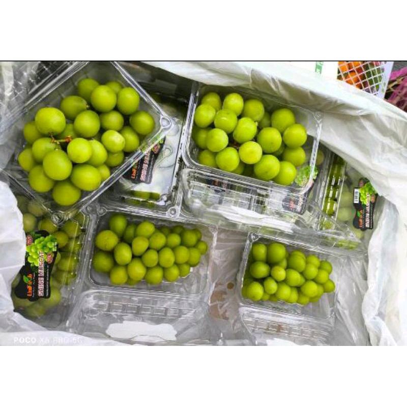 

ANGGUR MUSCAT HIJAU PACK 500GR