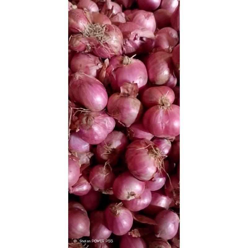 

bawang merah lokal nganjuk(1kg bonus 250gr)