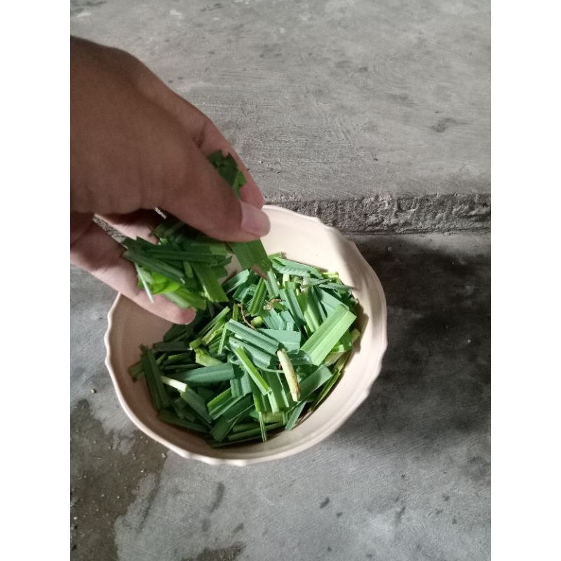 

Rajangan daun sereh