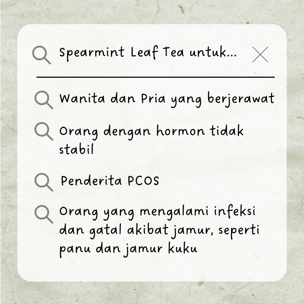 

RAW TISANE Spearmint Leaf Tea : Teh Daun Spearmint / Teh Celup Spearmint Isi 30 Tea Bag