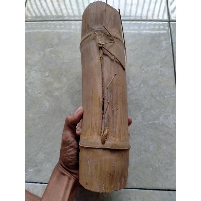 BAMBU UNIK PETUK JALU BATANG UTAMA JOSS