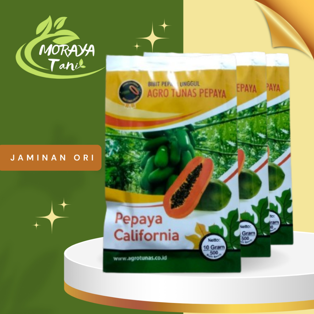 Benih pepaya california agro tunas pepaya 10 gram kurleb 500 biji