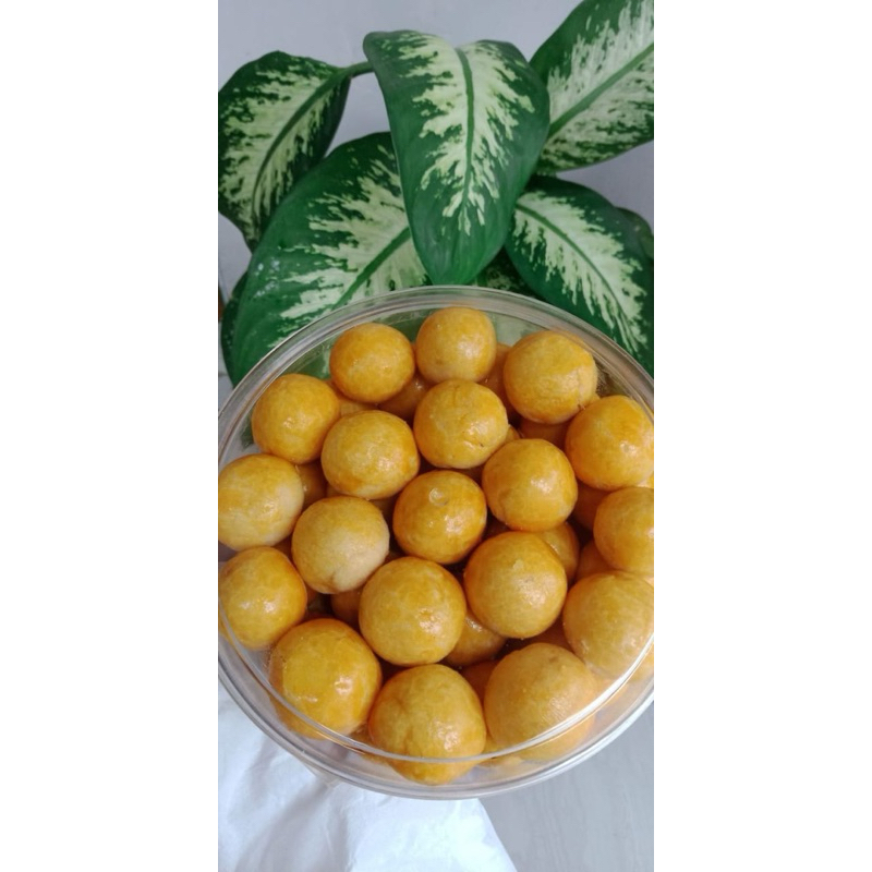

NASTAR WIJSMAN PREMIUM
