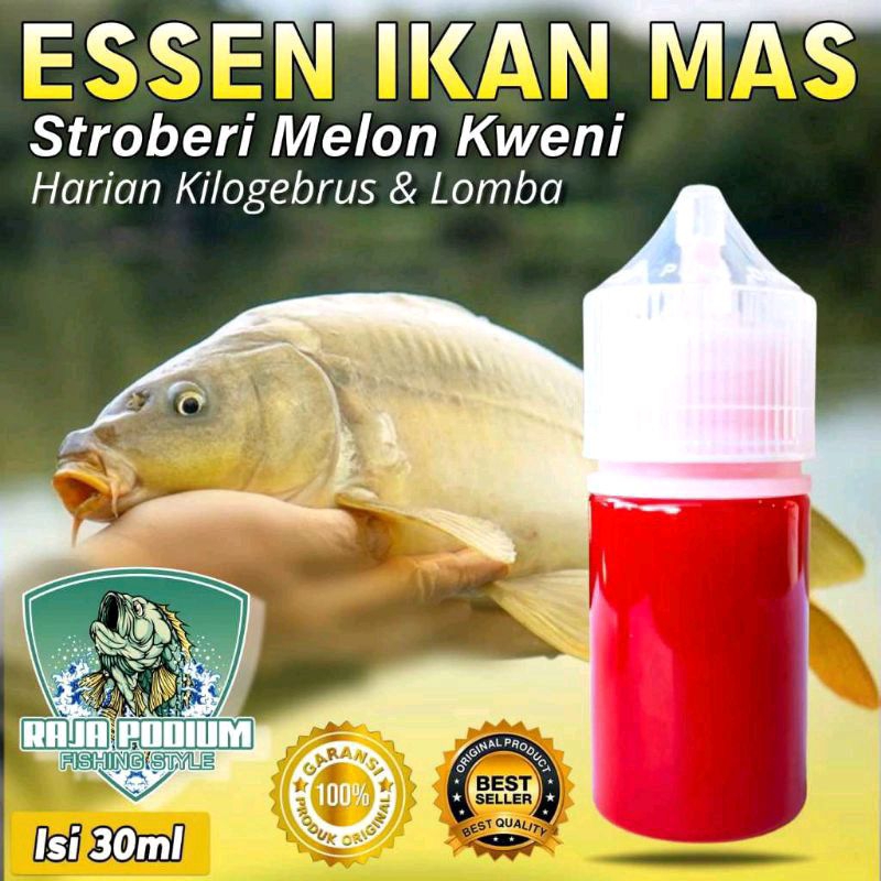 Essen Ikan Mas Paling Gacor Aroma Stroberi Melon Kweni, Essen Ikan Mas, Essen Ikan Mas Harian, Essen