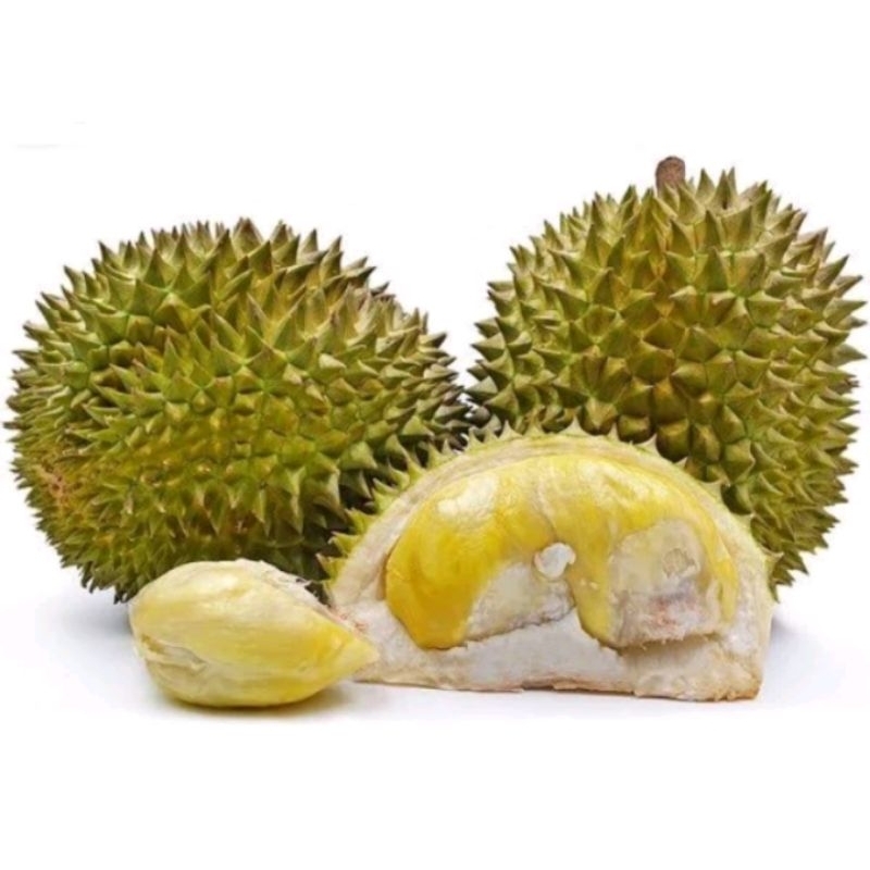 

DURIAN MANIS folll