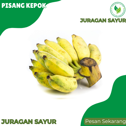 

Pisang Kepok 1 Sisir - Pisang Kepok Super - Pisang Kepok Manis - Juragan Sayur