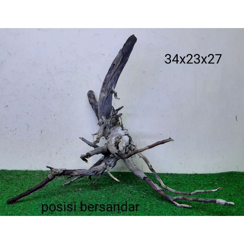Bonggol Kayu Santigi Laut Kecil Kayu Tenggelam Aquascape Aquarium Taman 34x23x27 T