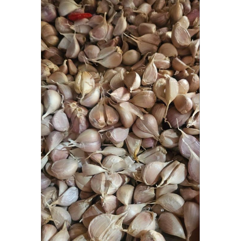 

BAWANG PUTIH KATING BERSIH