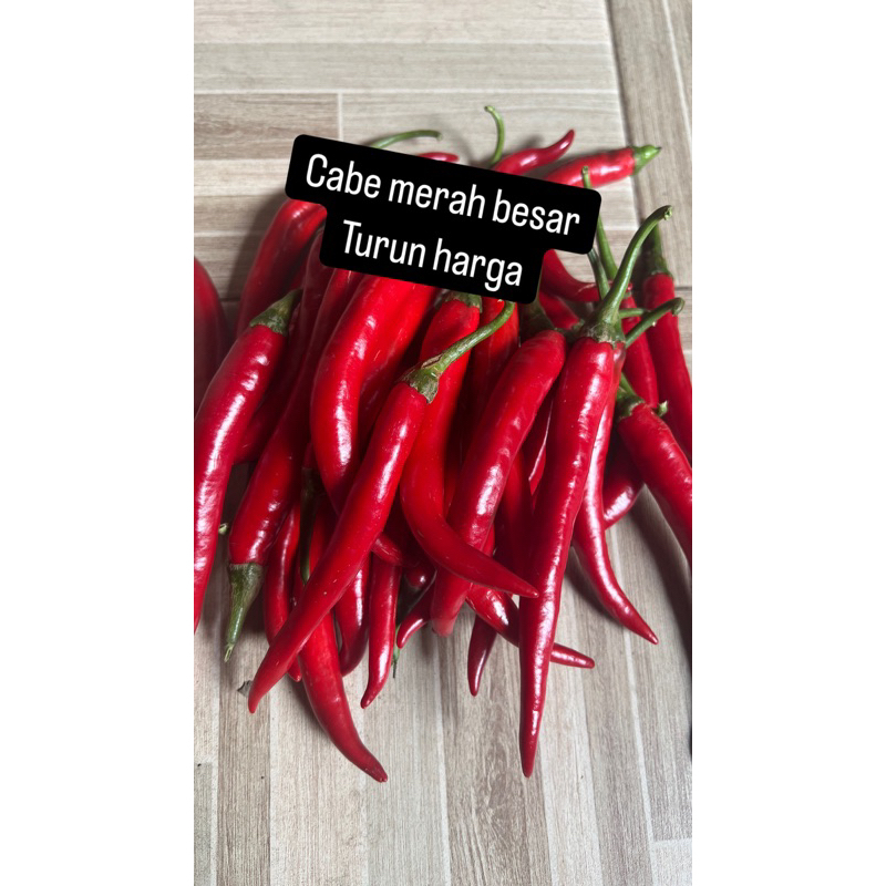 

cabe merah besar 1kg / 1000gr (wajib baca deskripsi yaa)