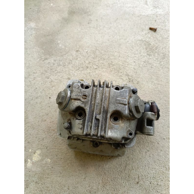 kop/head tiger lawas