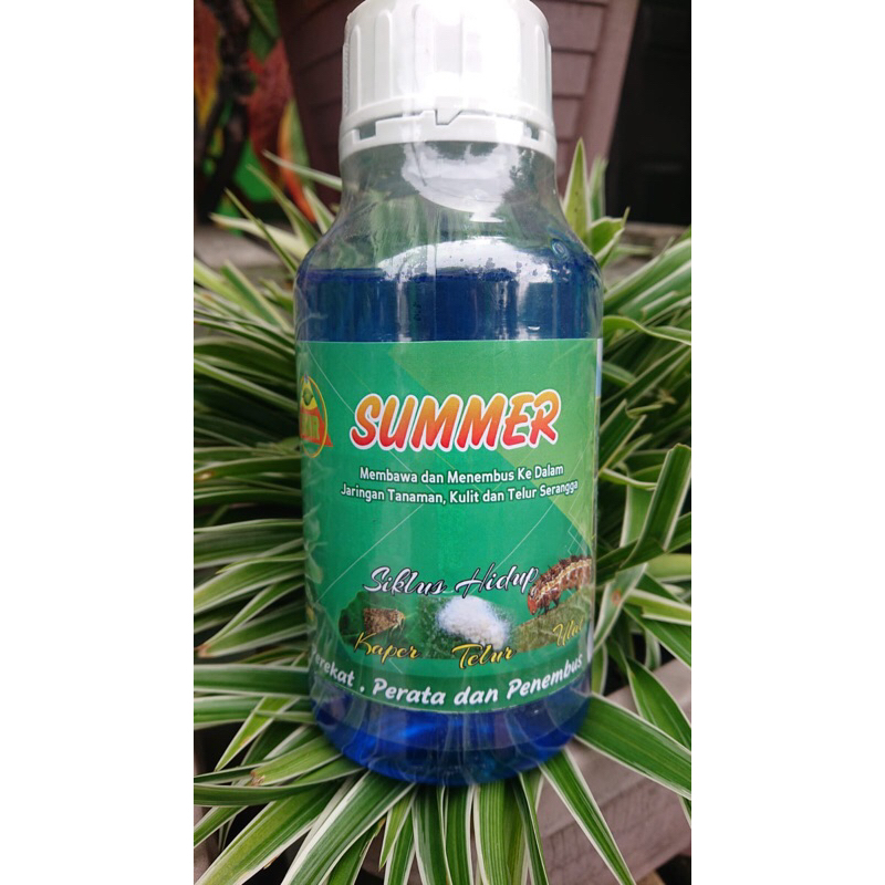 Perata Perekat Penembus Summer