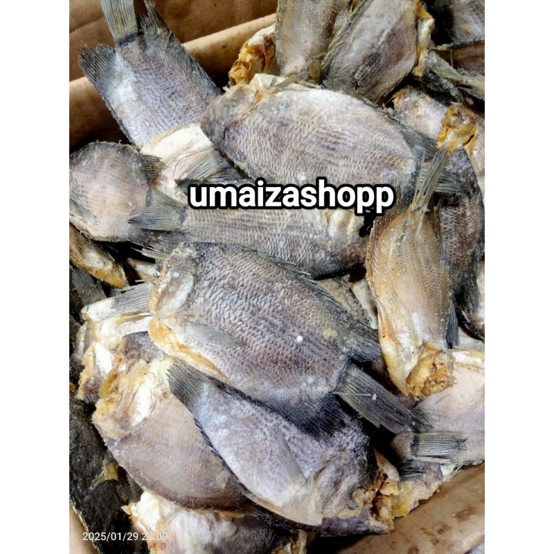 

Ikan asin Tembakang 500gr