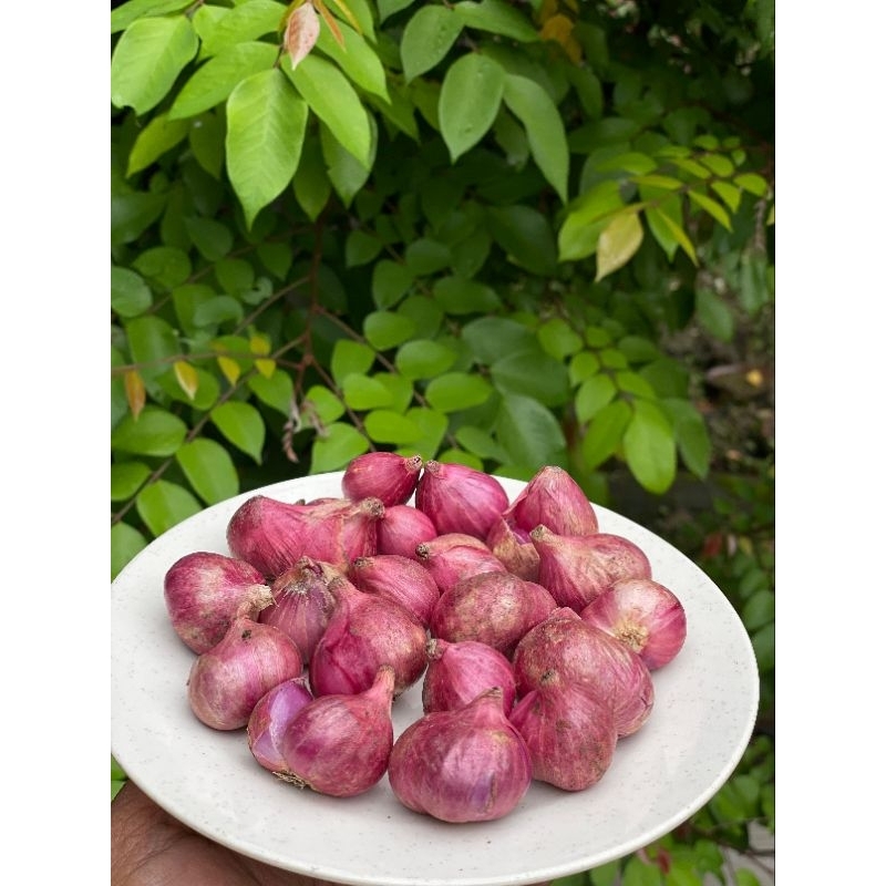 

BAWANG MERAH 500gr