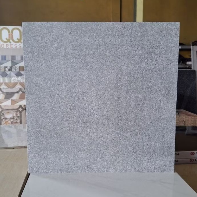 Granit Lantai 60x60 G60 BIMR LGS Matt