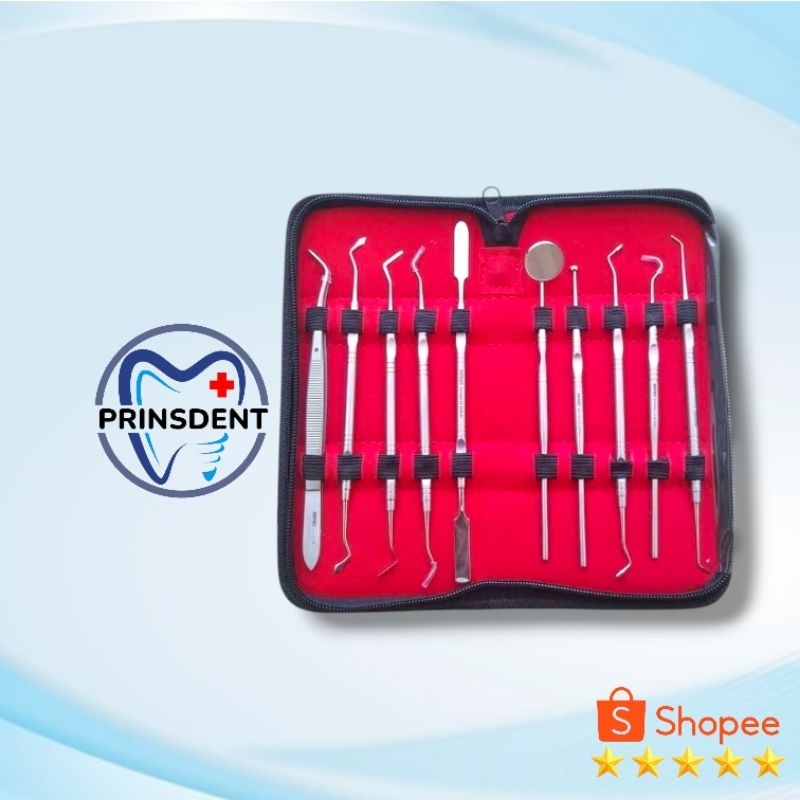 BASIC INSTRUMENT DASAR DIAGNOSTIC SET DENTAL