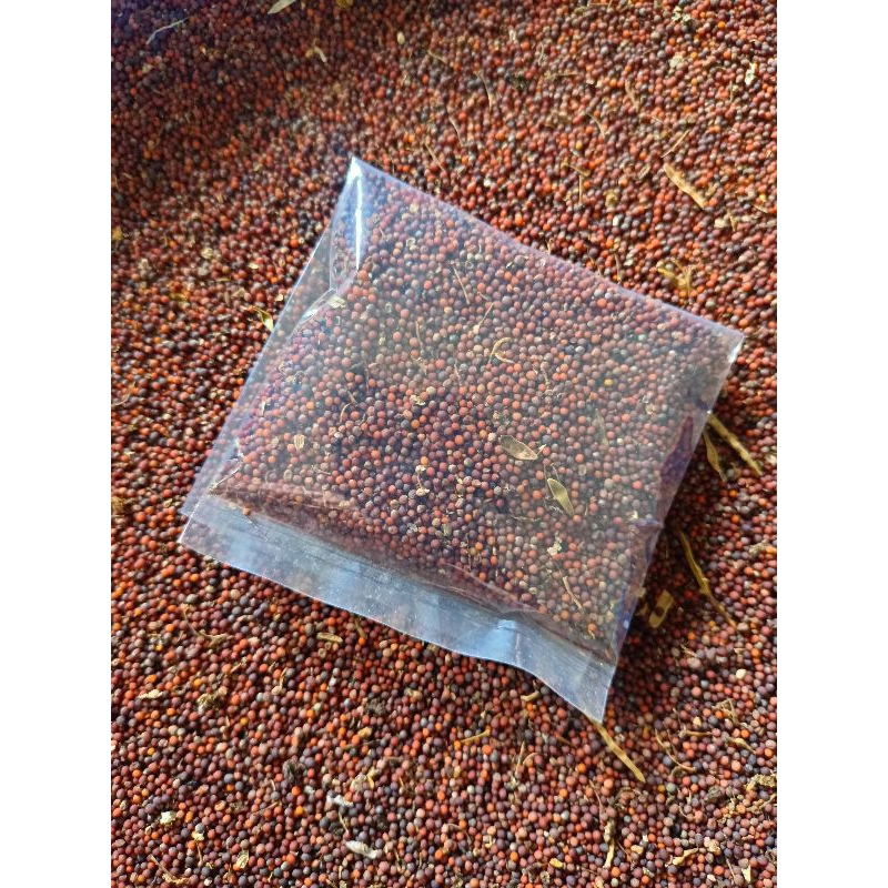 Bibit sawi pahit lotus 20gr