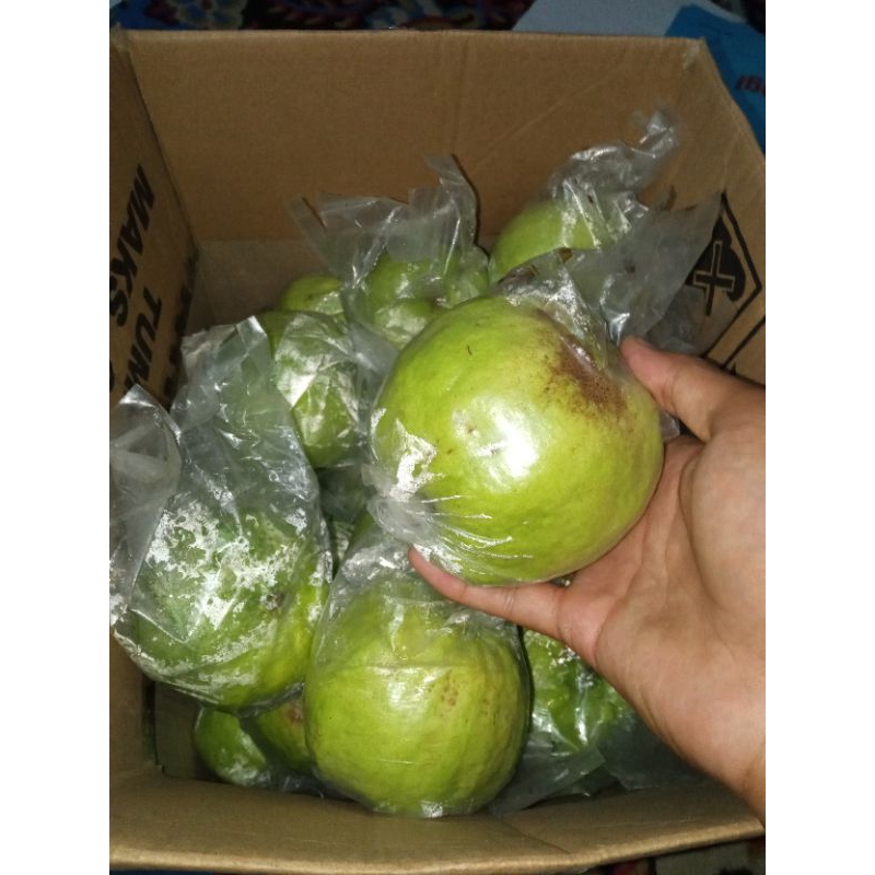 

Jambu kristal paket hemat (3,5KG)