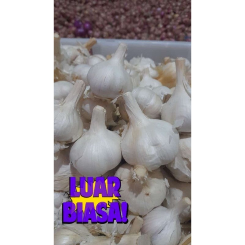 

BAWANG PUTIH WANGI GEMOY