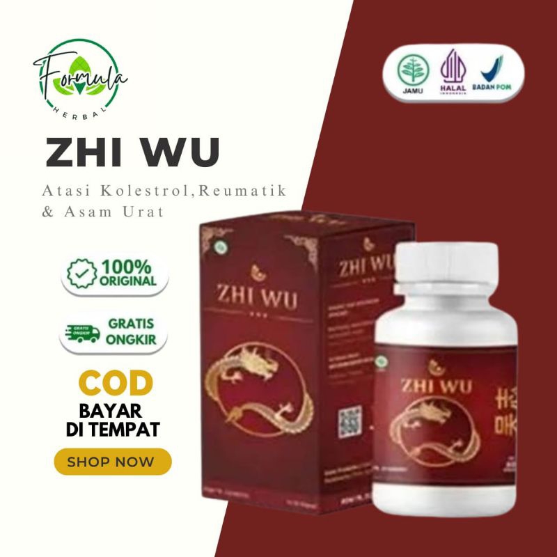 ZHI WU CHINA ORIGINAL, OBAT HERBAL REMATIK,ASAM URAT DAN NYERI TULANG SENDI