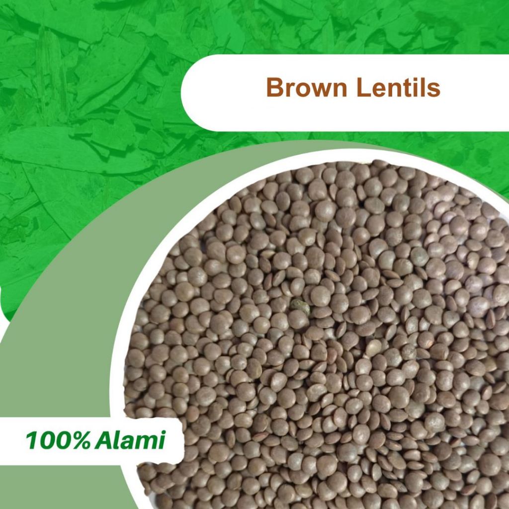 

100GR BROWN LENTILS / LENTIL COKLAT ASLI 100%