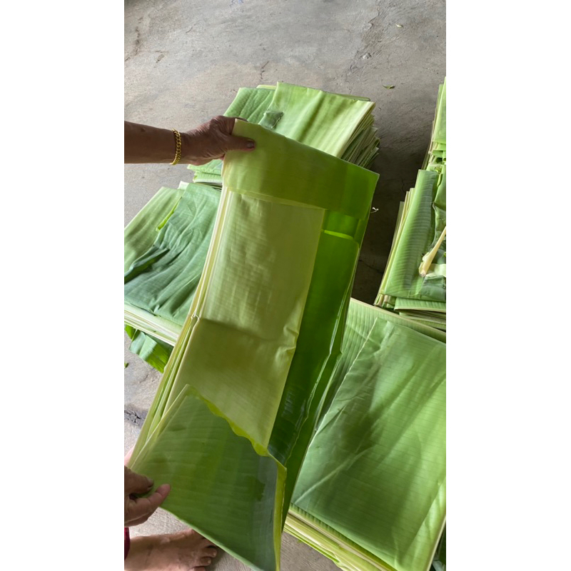 

Daun pisang tua daun pisang segar daun pisang muda