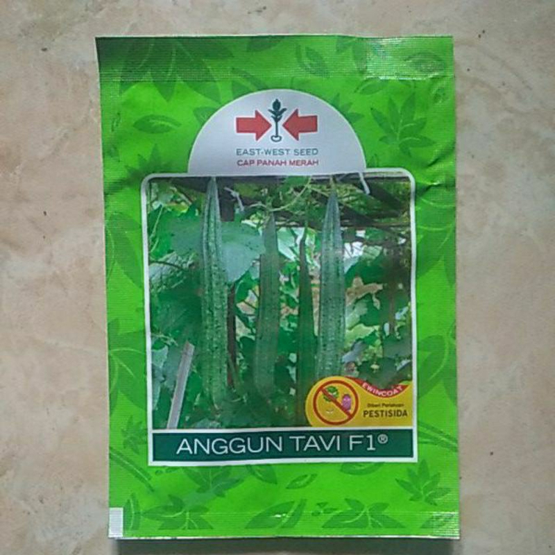 

Oyong/Gambas ANGGUN TAVI F1 @75 btr exp:29-04-26