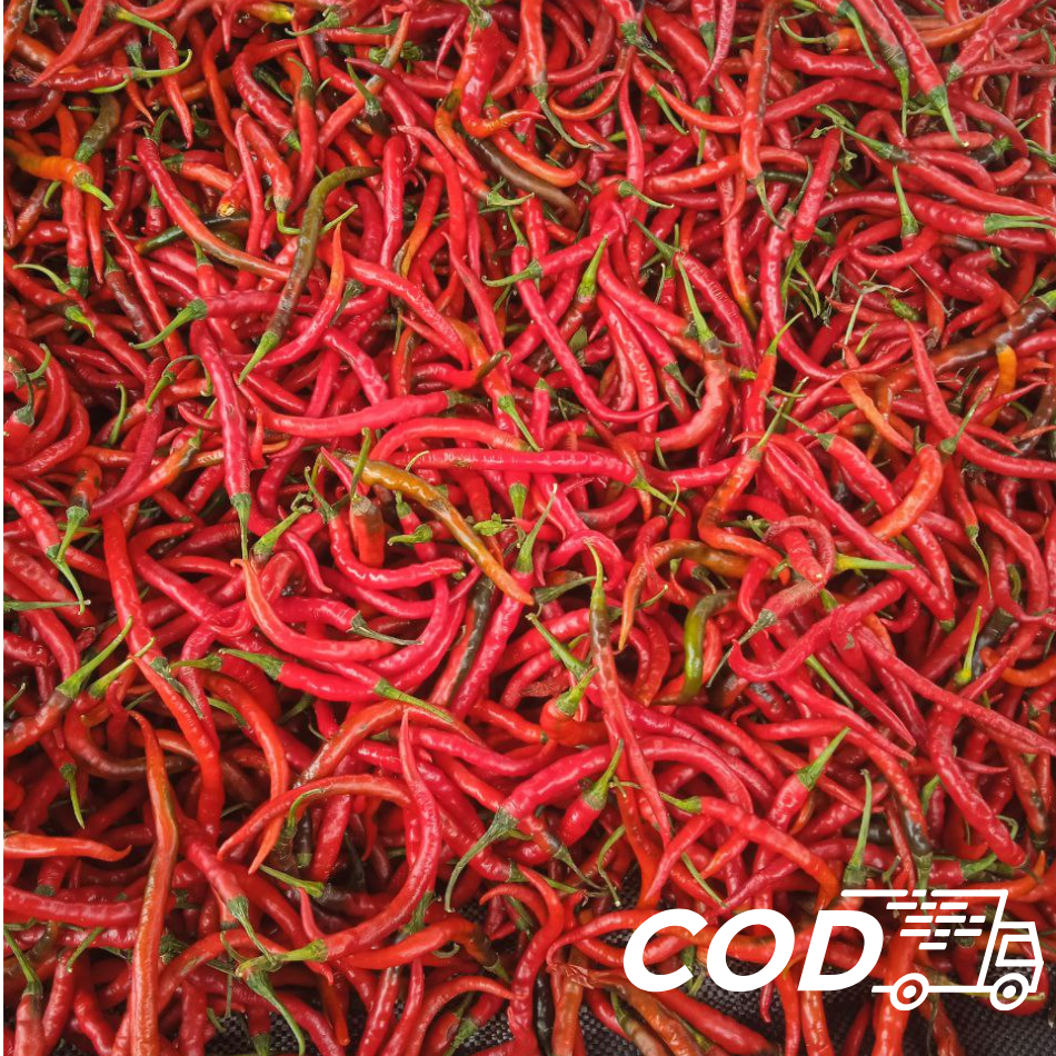 

CABE MERAH KERITING SEGAR 1KG