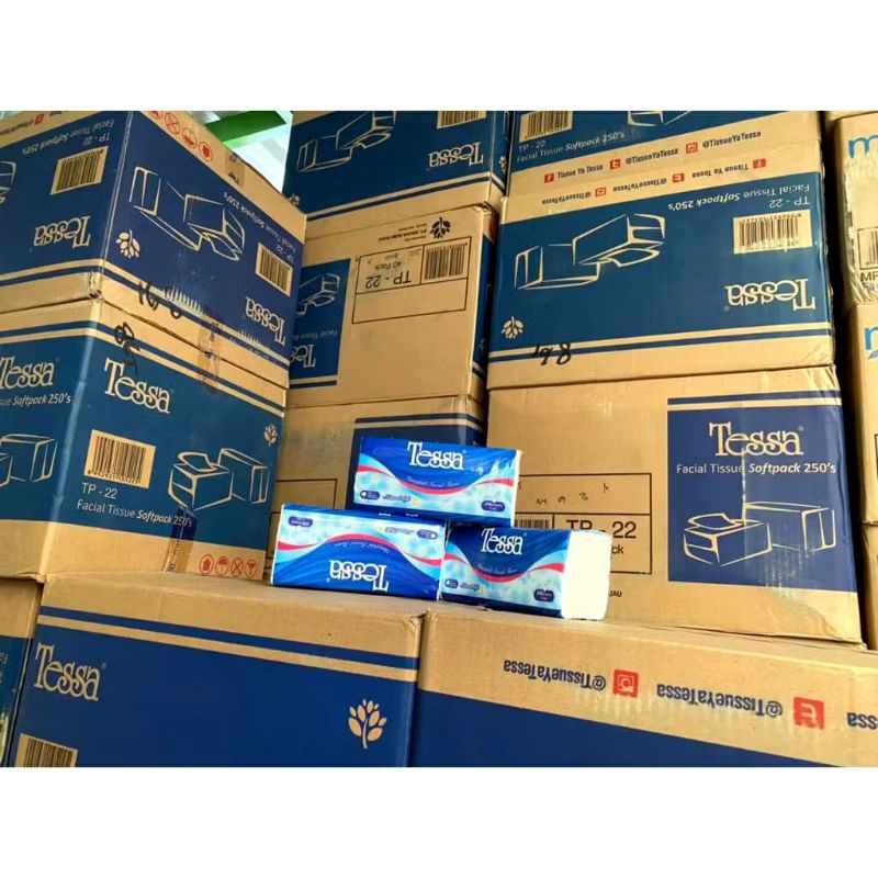 Tessa Softpack Facial Tissue TP-22 250sheet1Dus