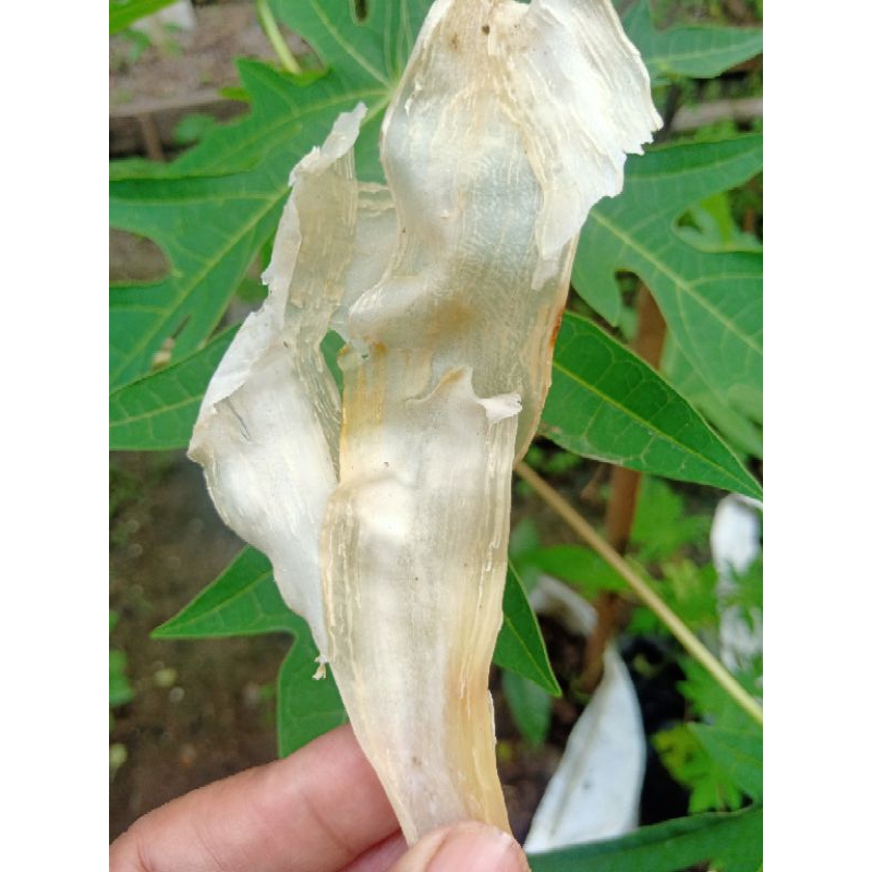 

krupuk singkong,grubi,opak pohong