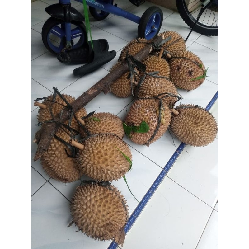 

durian isi 3 buah (tiga pcs) matang, manis pahit