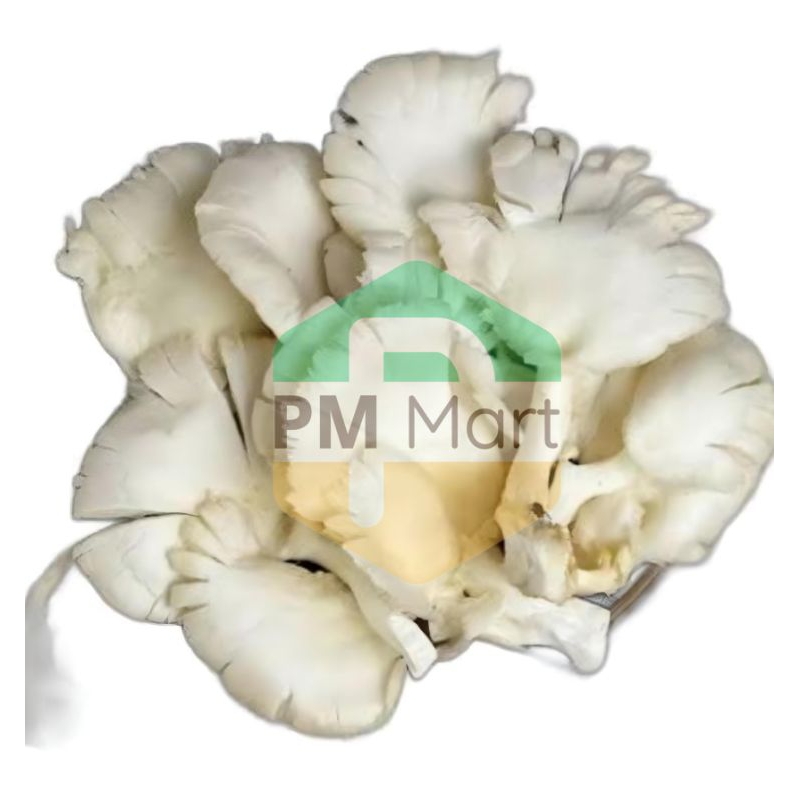 

Jamur Tiram Segar 100 Gram