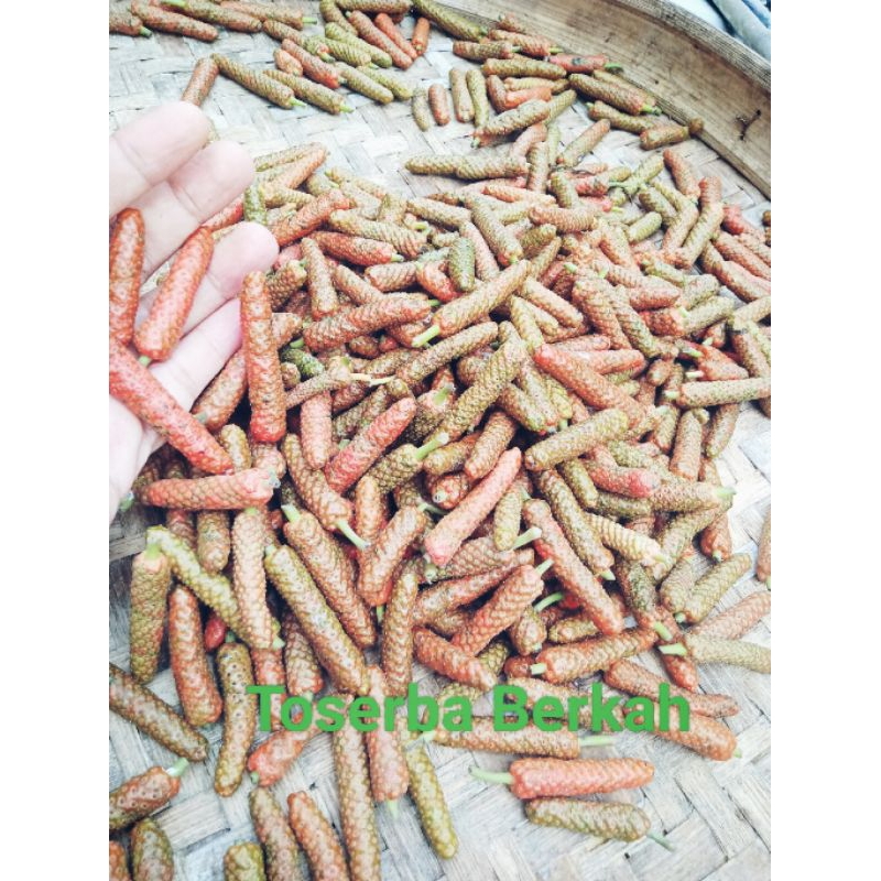 

Cabe Jamu Cabe Jawa Basah