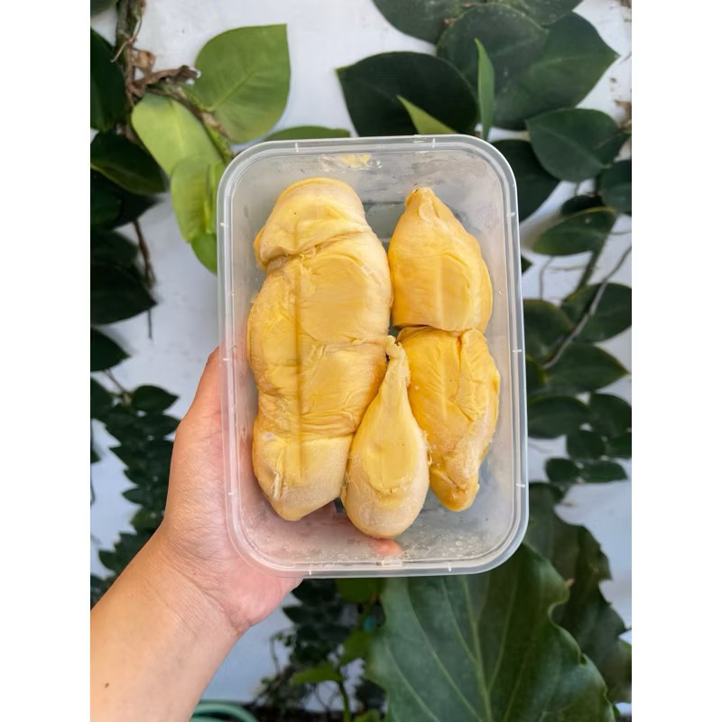 

Durian kupas lokal sumatra
