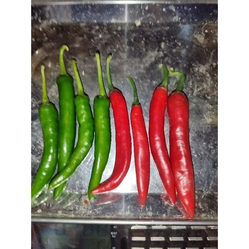 

CABE MERAH DAN HIJAU BESAR CAMPUR